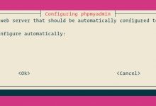 如何在 Windows 10 WSL 上安装 phpMyAdmin