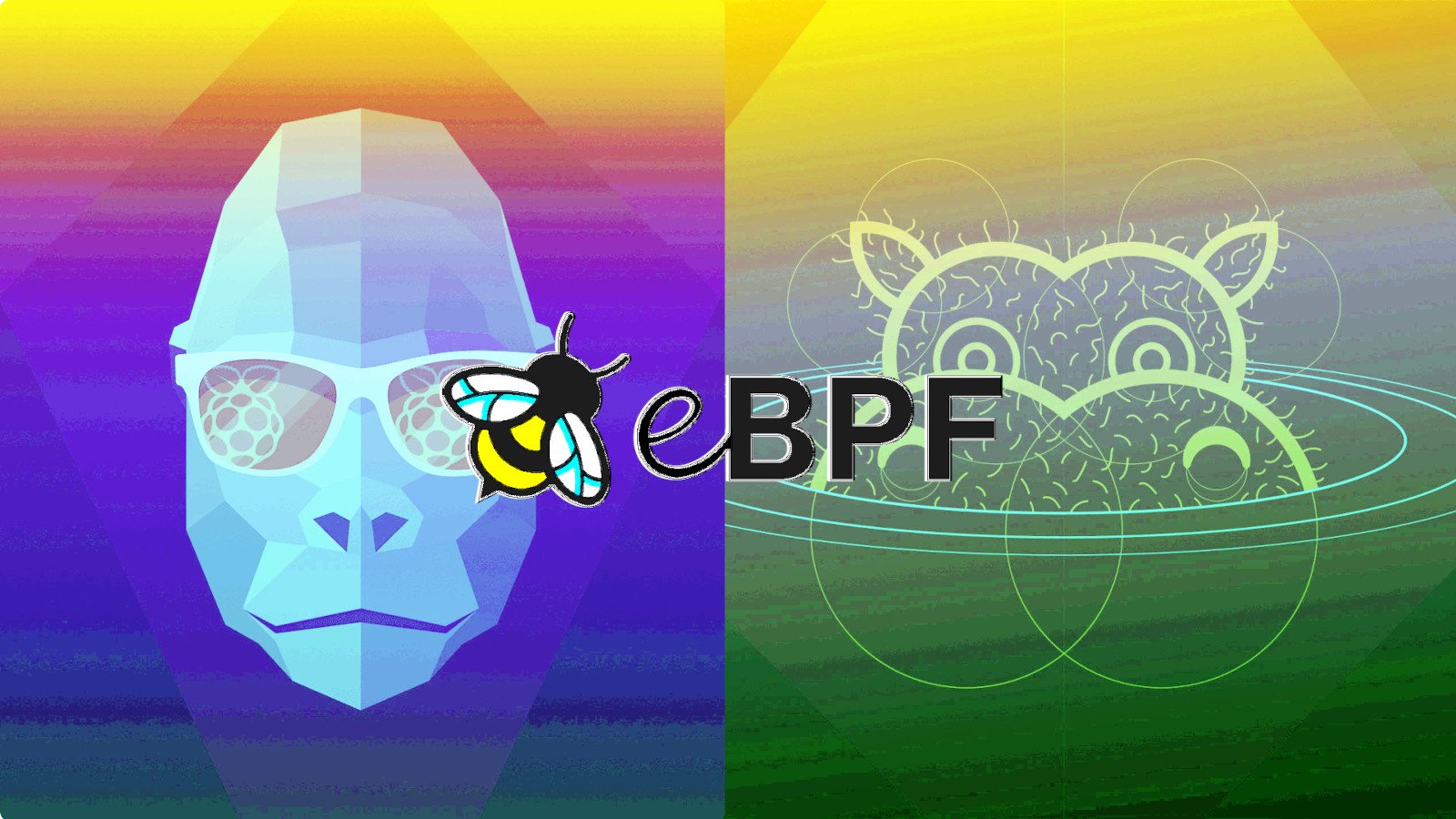 eBPFUbuntu_Groovy_Hippo