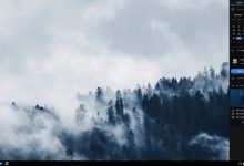 如何在 Debian 11 上安装 Budgie 桌面