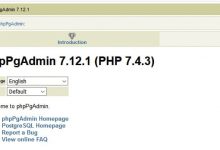 如何在 Ubuntu 20.04 LTS 上安装 phpPgAdmin