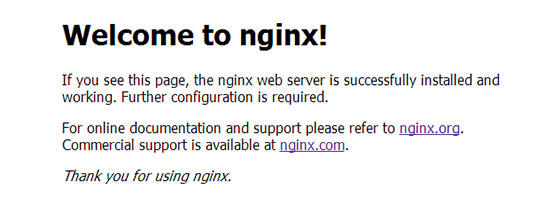 nginx-default-page