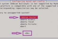 如何在 Debian 11 上安装 MySQL