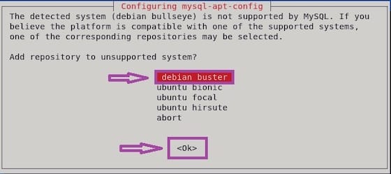 select-buster-debian-11-mysql-8