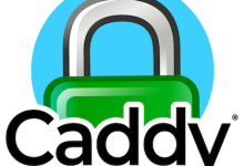 如何在 AlmaLinux 8 上安装 Caddy
