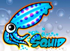 Squid-cache