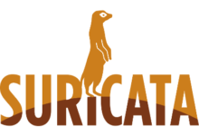 如何在 Ubuntu 20.04 LTS 上安装 Suricata