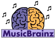 如何在 Ubuntu 20.04 LTS 上安装 MusicBrainz Picard