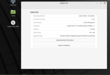 Linux Mint 21 Beta 现已可用于测试