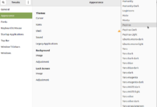如何在 Ubuntu 22.04 LTS 上安装 Papirus 图标主题