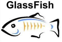 如何在 Rocky Linux 9 上安装 GlassFish