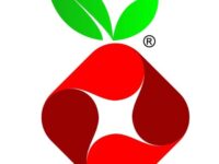如何在 Ubuntu 22.04 LTS 上安装 Pi-Hole