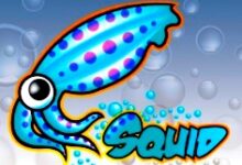 如何在 Ubuntu 22.04 LTS 上安装 Squid 代理