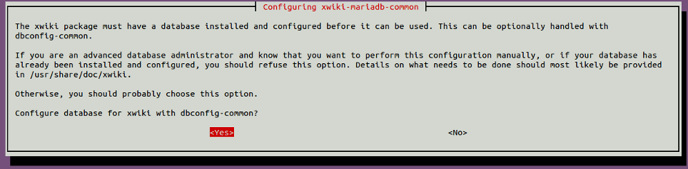 xwiki-dbconfig-common-1