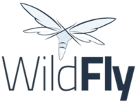 如何在 Rocky Linux 9 上安装 WildFly