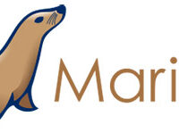 如何在 Debian 12 上安装 MariaDB