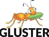 如何在 Ubuntu 22.04 LTS 上安装 GlusterFS