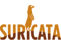如何在 Debian 12 上安装 Suricata
