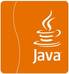 如何检查 Linux 上安装的 Java 版本-Win 11系统之家
