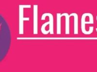 如何在 Fedora 39 上安装 Flameshot