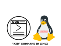 Linux 中的 xxd 命令示例