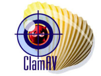 如何在 Debian 上安装 ClamAV 12