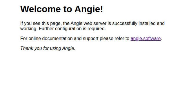 angie-welcome-page-UI-1