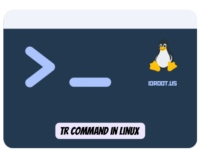 Linux 中的 tr 命令示例